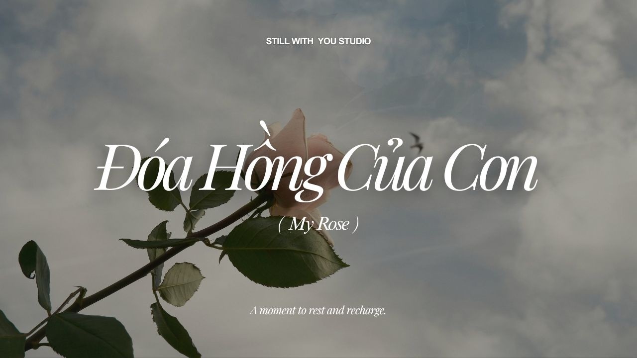Đóa Hồng Của Con (My Rose) - Version No. 5