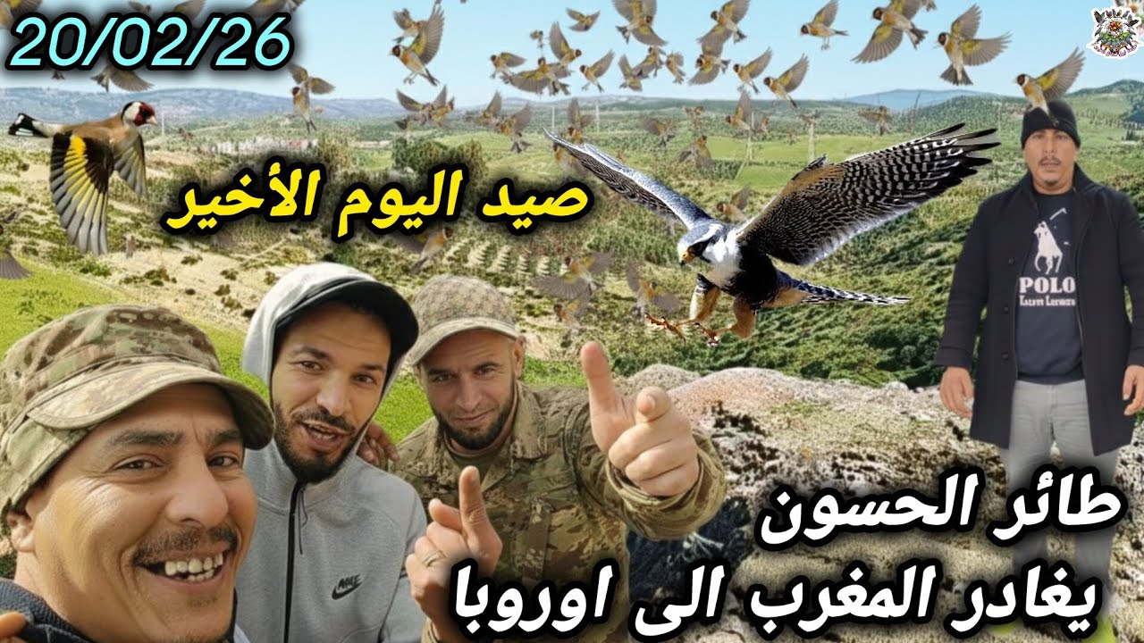 أخطر رحلة 😱 صيد الحسون اليوم الأخير عوده الحسون الى موطنه أوروبا كانت الحصيلة من ذهب 🇪🇸