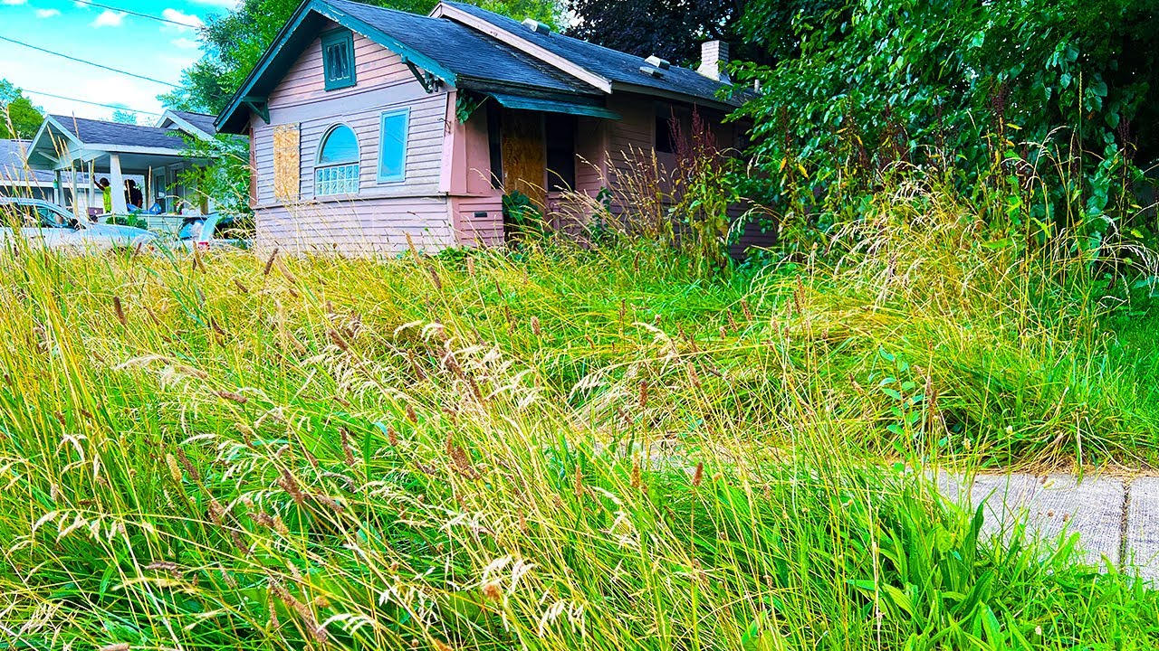 NEIGHBORS WERE STUNNED I mowed this MESS for FREE. They offered to PAY! I declined!