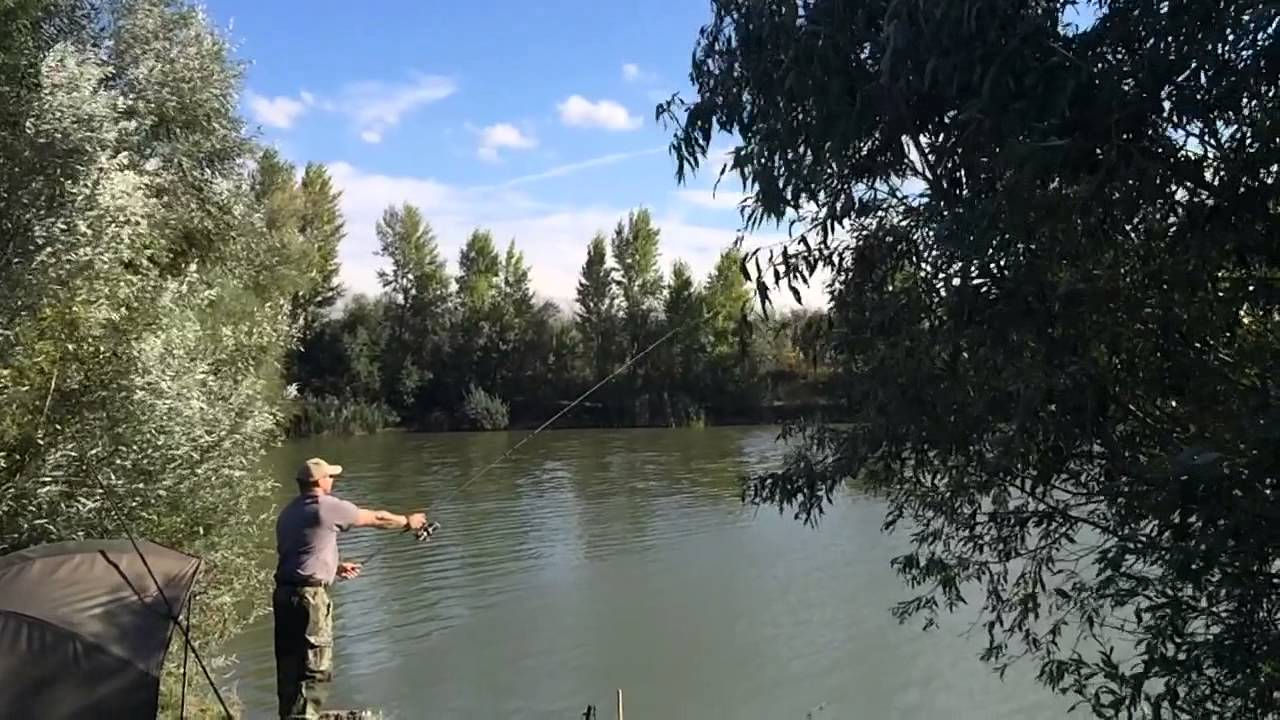 Century CPU Carp Rod