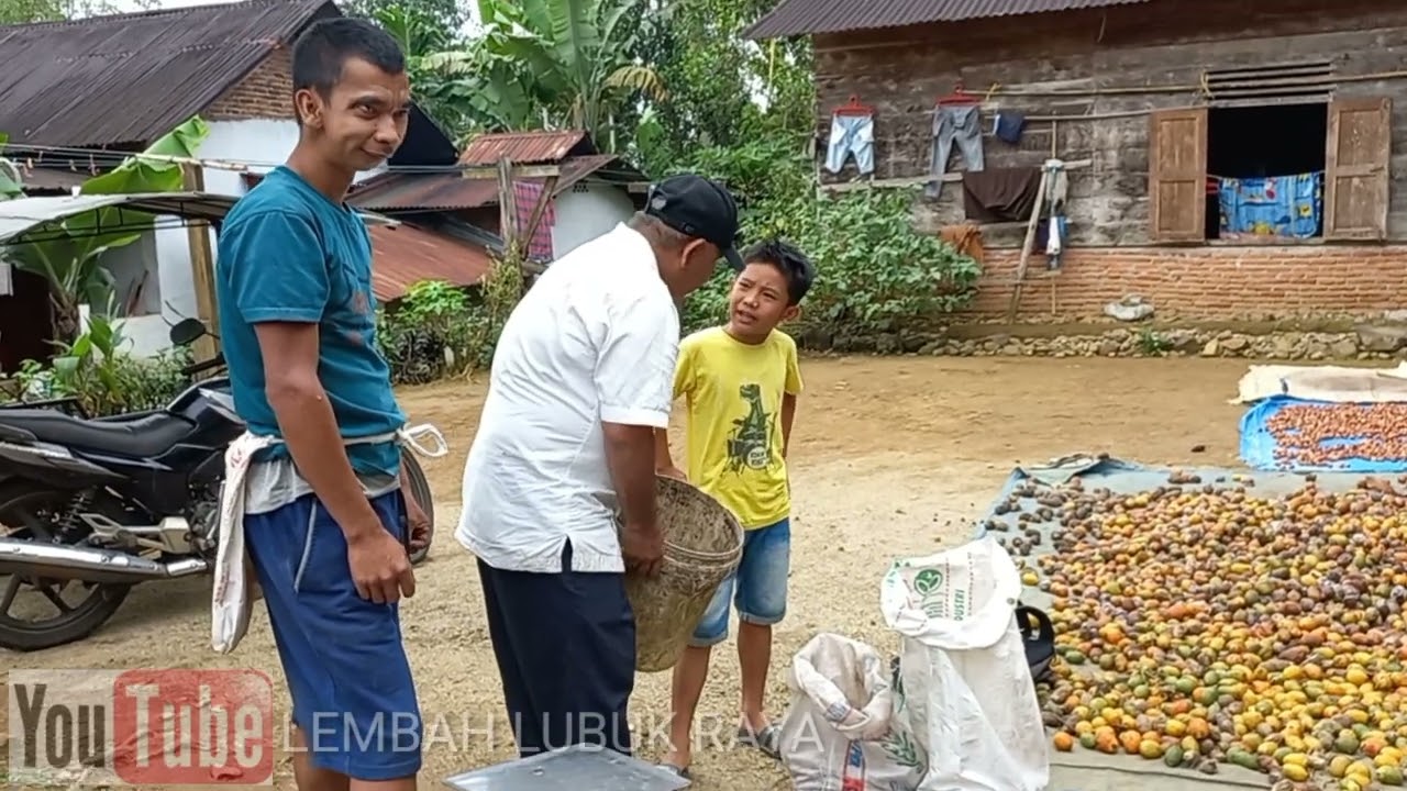 Oppung Nengel Bersama Toke pining..! #lawaktapsel #tapanuliselatan #oppungnengel #Tanotinggi