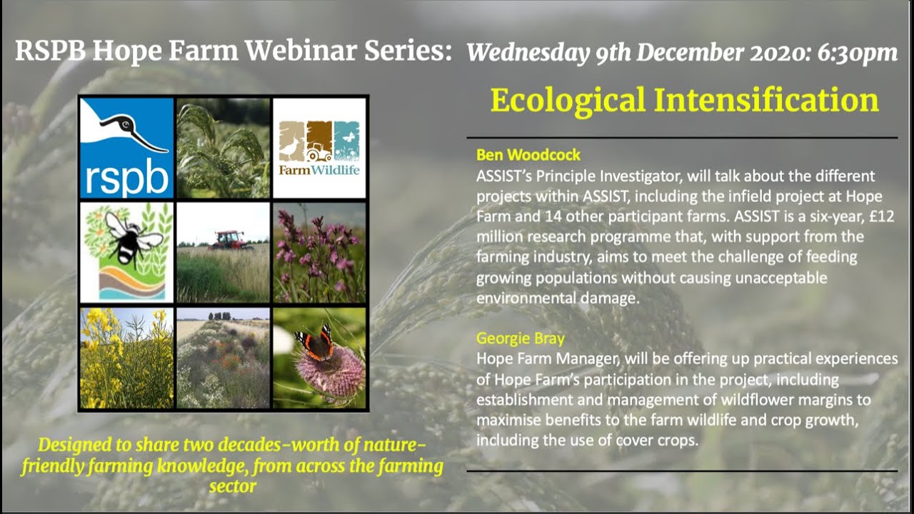 Hope Farm 20th Anniversary Webinar Series: 3/5 - Ecological Intensification