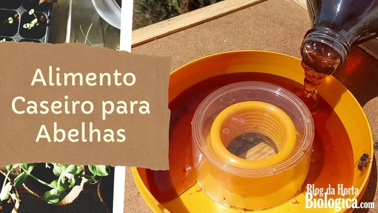 Como Fazer Alimento Para as Abelhas | Receita Caseira & Natural