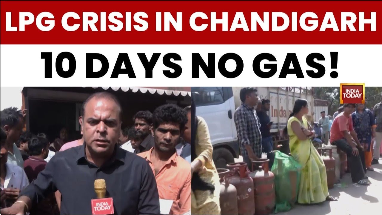 LPG Crisis in Chandigarh: Residents Wait 10 Days for Gas Cylinders, Forced to Cook on Wood