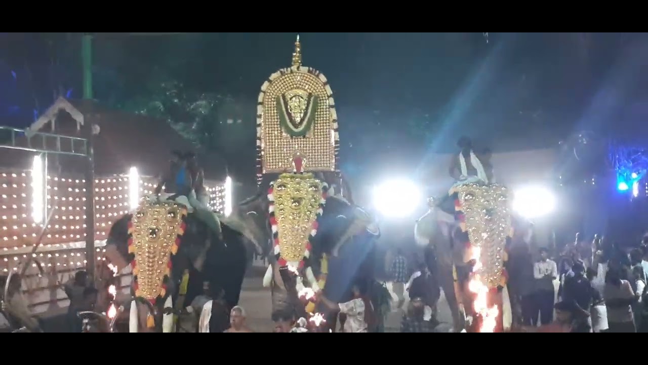 പള്ളത്താംകുളങ്ങര ഭഗവതി ക്ഷേത്രം
