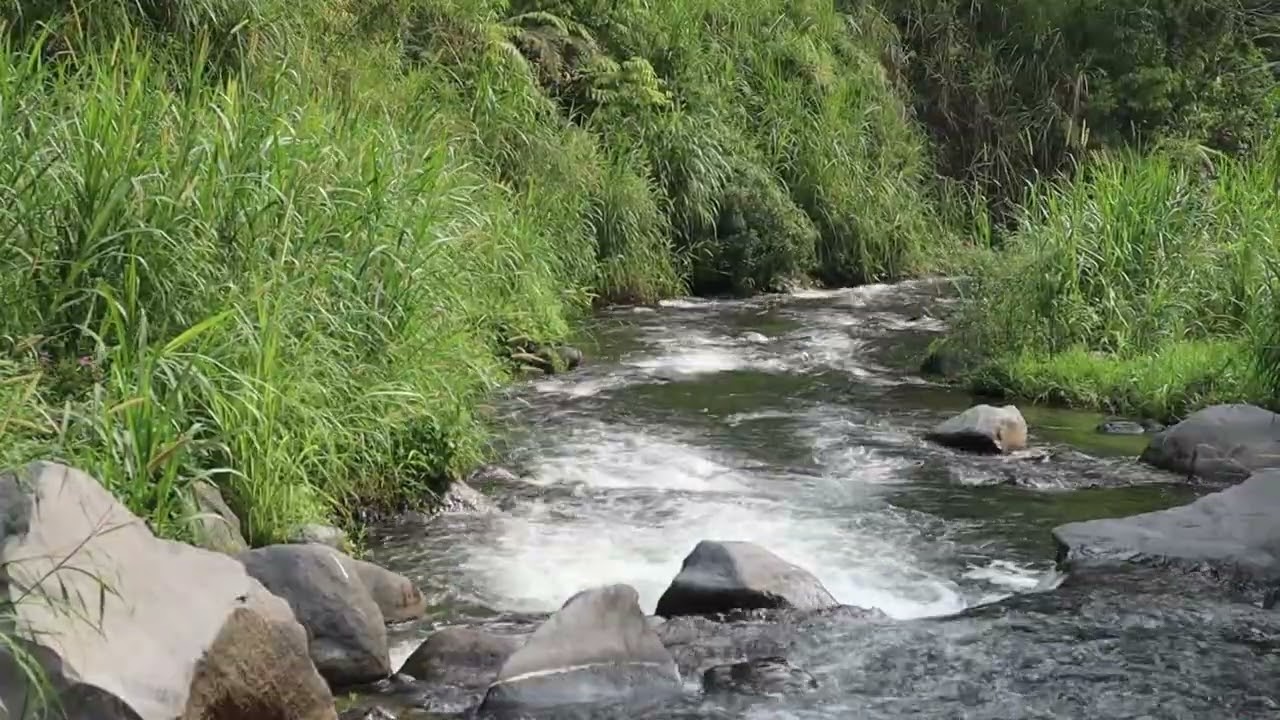 Relaxing River Water Sounds for Calm Sleep, Meditation, and Stress Relief for Your Mind #deepsleep