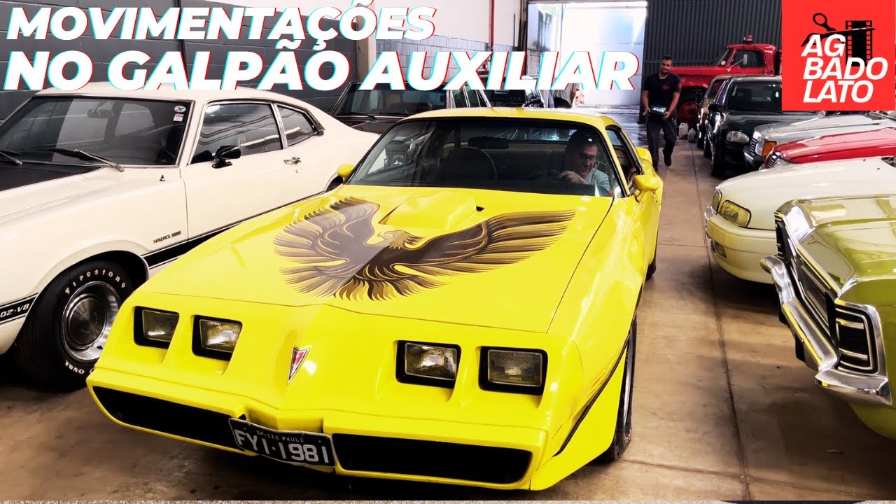 MOVIMENTANDO CARROS ANTIGOS DA COLEÇÃO ! DODGE, OMEGA, MONZA, PONTIAC TRANS AM