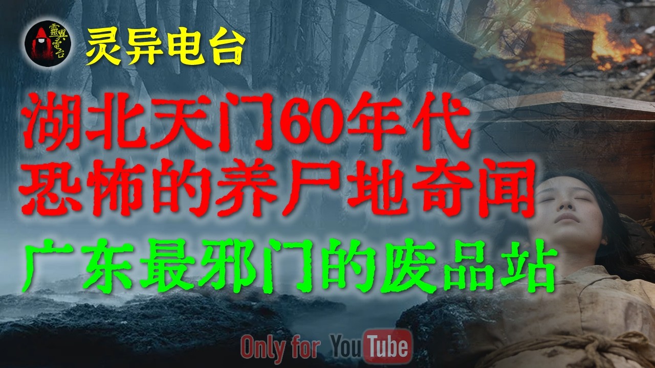 2012年广东最邪门的废品站，一场大火揭开了15年前消失的地下邪门生意，真相令人脊背发凉|湖北天门60年代养尸地奇闻#鬼故事 #睡前故事 #解压故事 #民间故事 #恐怖故事 #horror「灵异电台」