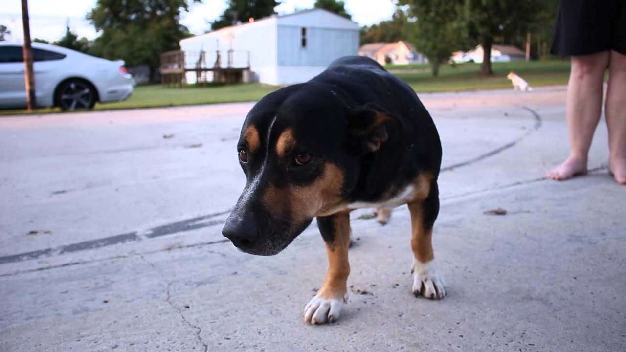 Canon Rebel T5i test video