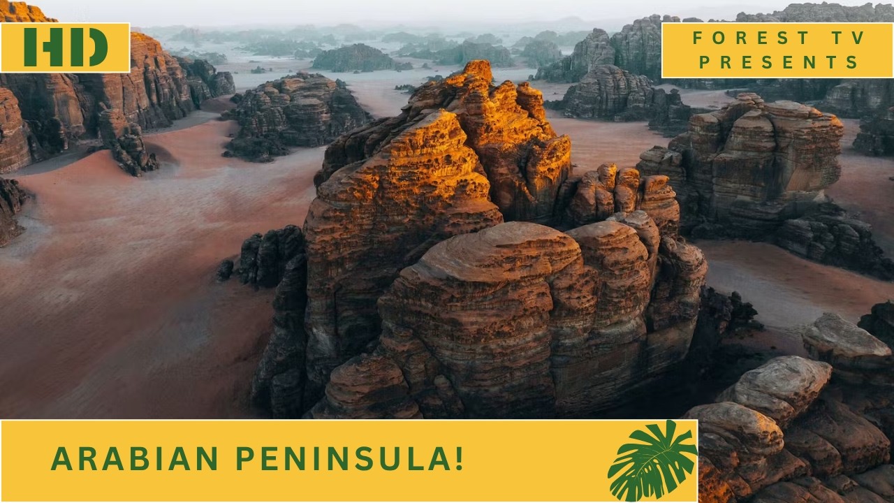 Arabia&rsquo;s Untold Beauty | Wonders of the Arabian Peninsula | Nature Documentary