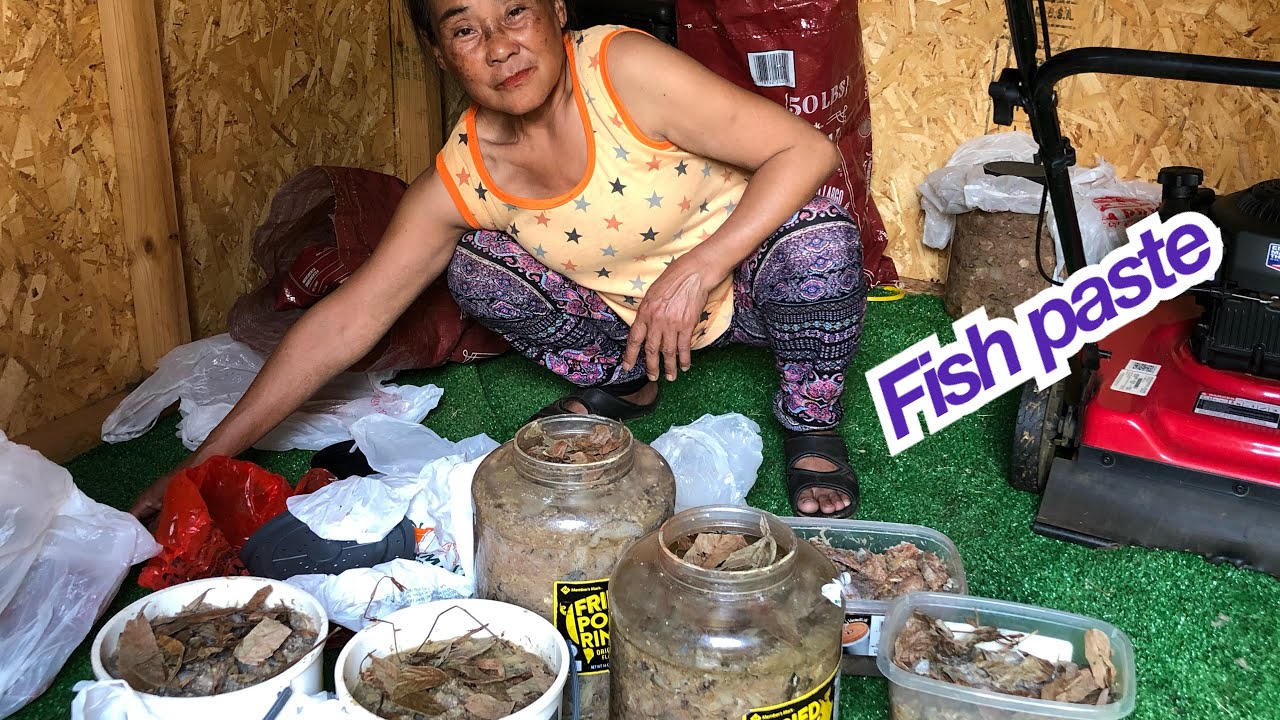 How to make fish paste (top 1 of Karen food)