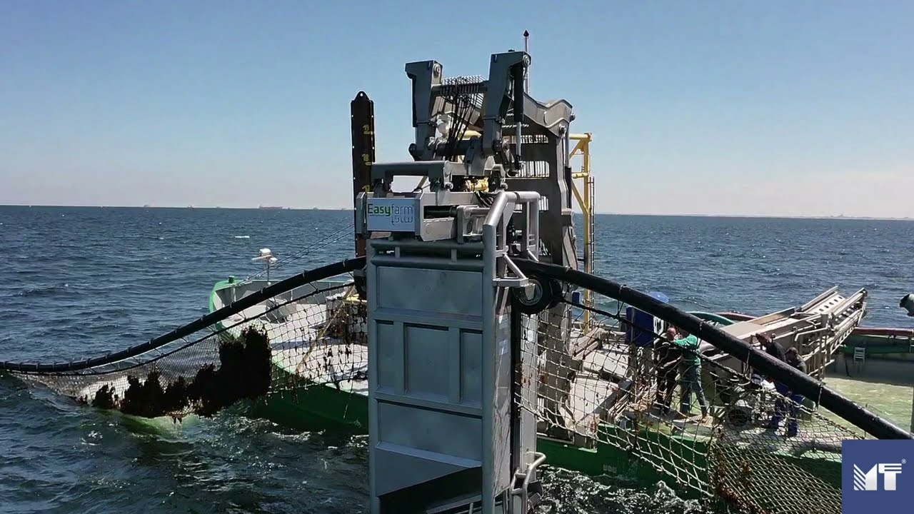Succesful seaweed harvest operation with EasyFarm on the North Sea