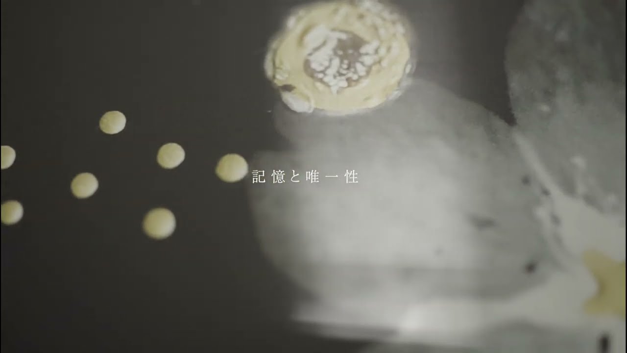 小山ひとき　Hitoki Koyama / ITONA GALLERY