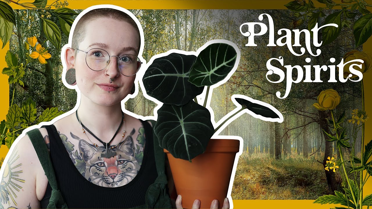 Plant Spirits: How to connect with them physically, spiritually and mentally