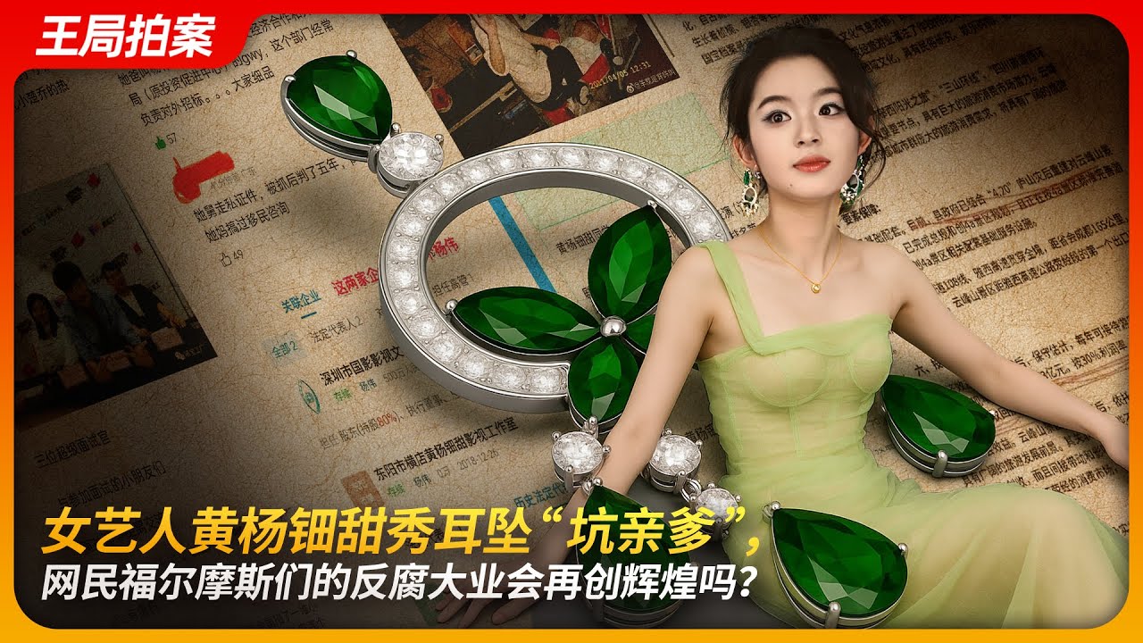 黄杨钿甜耳坠引发舆论风暴，网民福尔摩斯为何成为反腐中坚？｜黄杨钿甜｜天价吊坠｜杨伟｜雅安｜王局拍案 20250522
