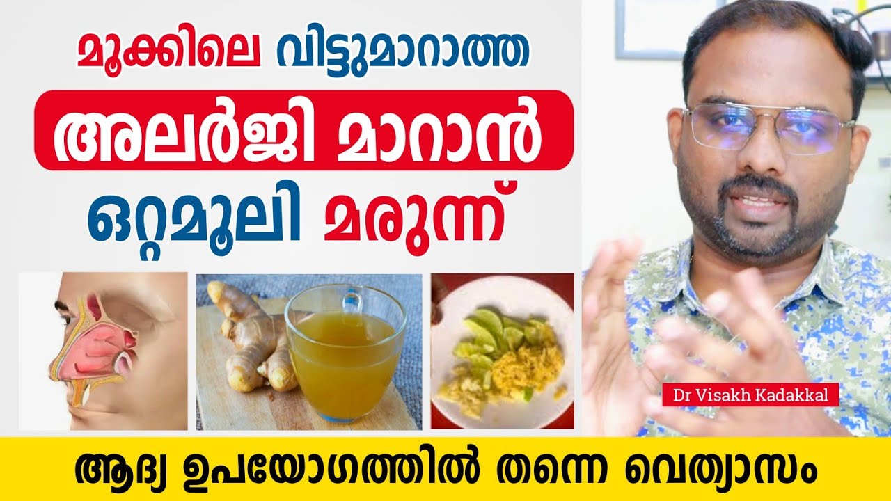 വിട്ടുമാറാത്ത മൂക്കിലെ അലർജി മാറാൻ ഇത് മാത്രം അറിഞ്ഞാൽ മതി | Nose allergy & Allergic rhinitis 