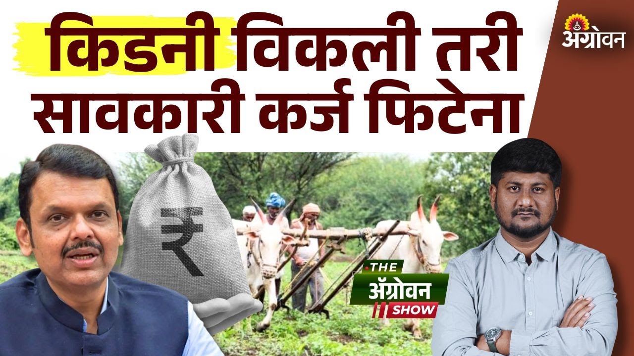 Farmer Loan Waiver : शेतकऱ्याने सावकारी कर्जासाठी विकली किडनी; माणुसकीला काळीमा | Agrowon