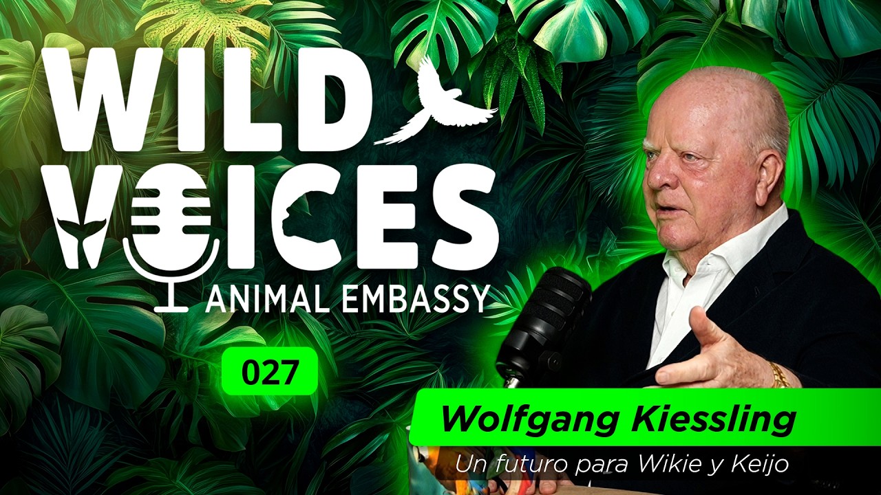 Wild Voices 027 -  Wolfgang Kiessling
