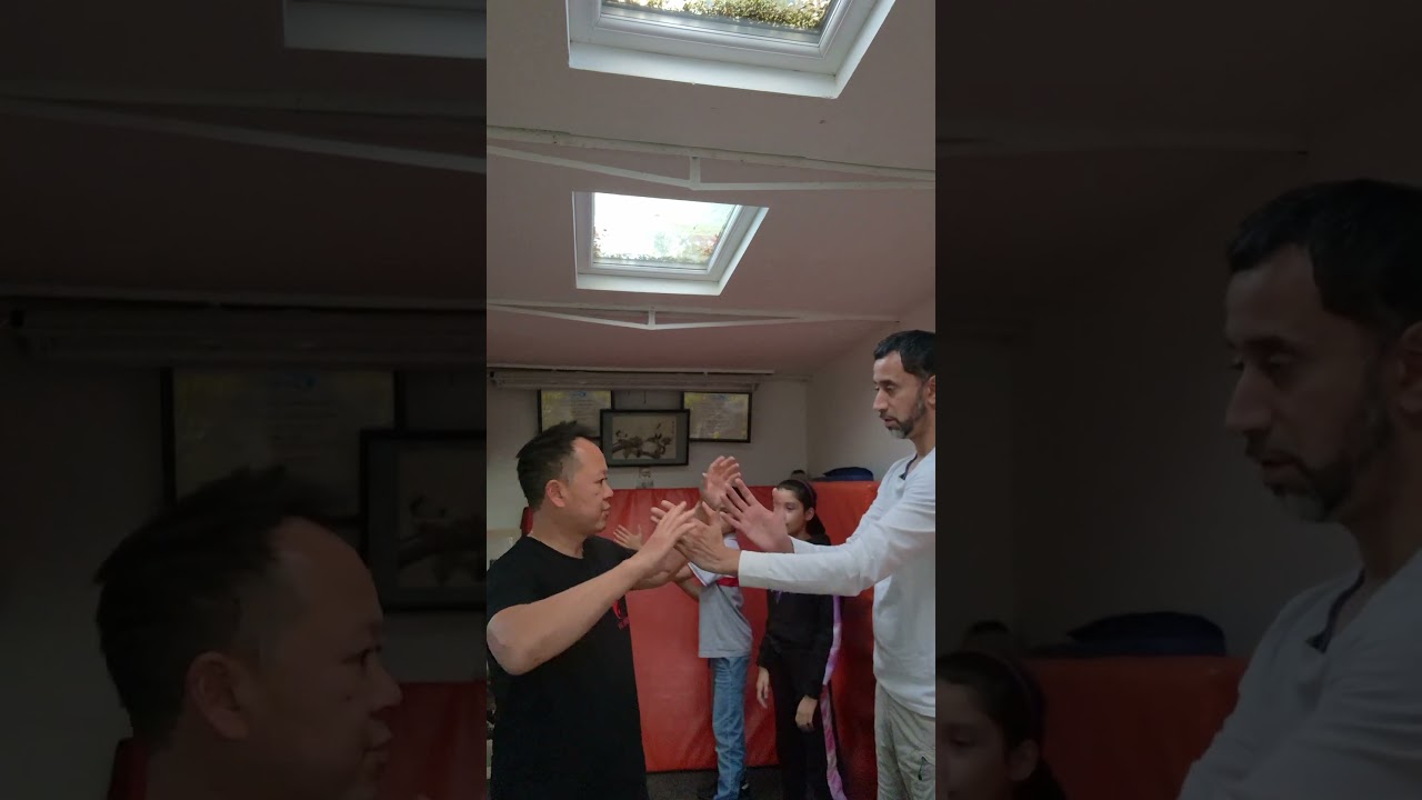Wu Sa Wing chun triangle