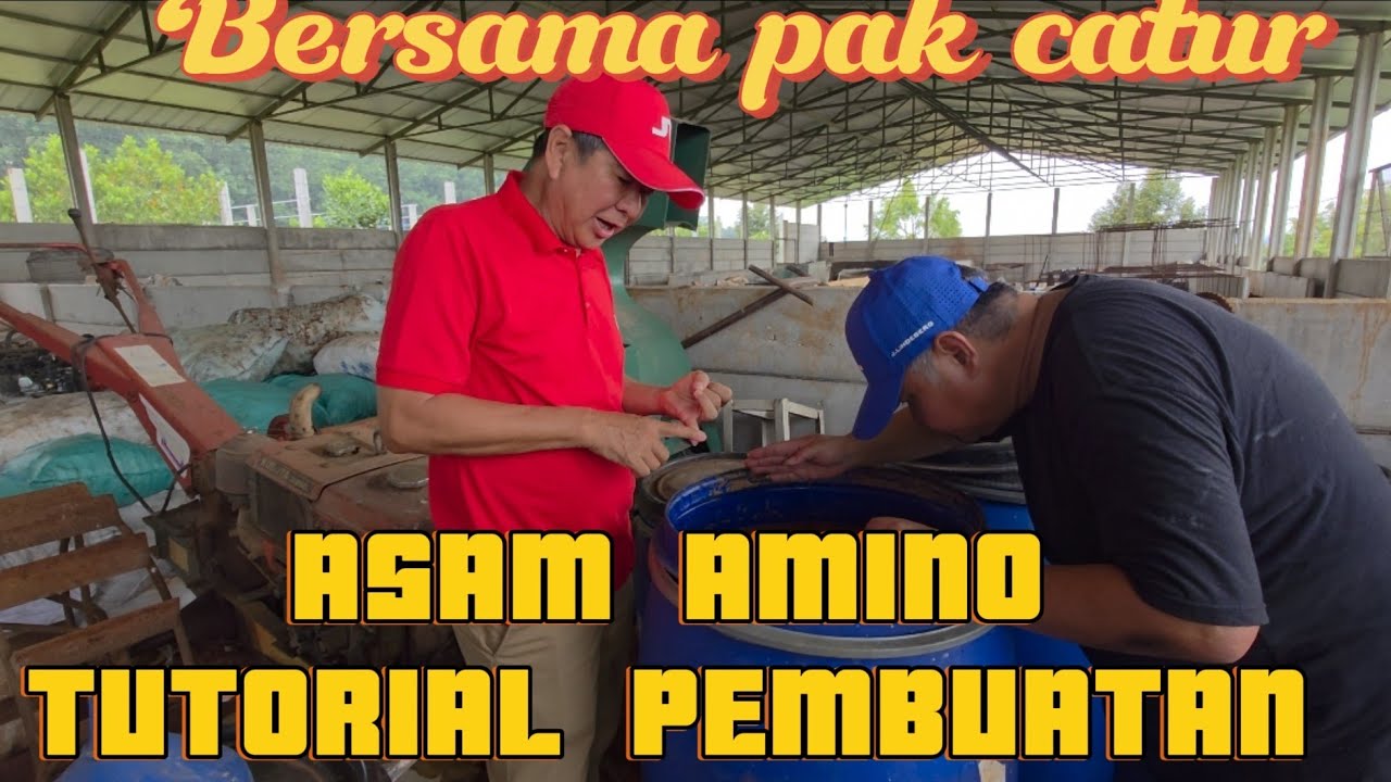 TUTORIAL PEMBUATAN ASAM AMINO UNTUK POHON DURIAN DAN TANAMAN BUAH LAINYA
