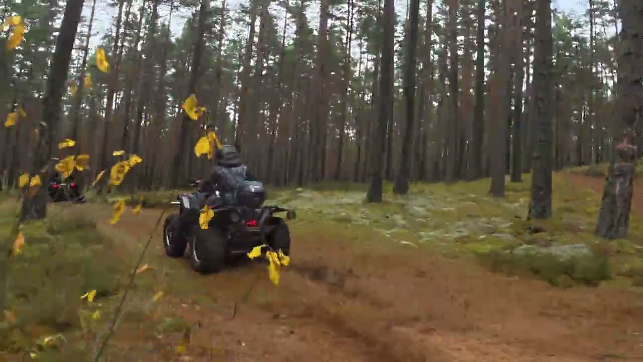 Leading the Way | Dual Polaris Scrambler Forest Cinematic Ride