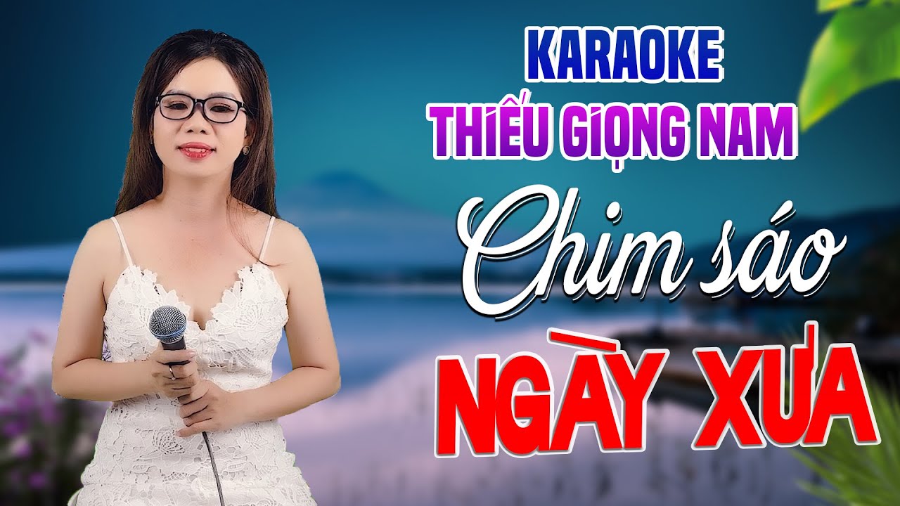 Karaoke Song Ca | CHIM SÁO NGÀY XƯA - Thiếu Giọng Nam | Song Ca Với Lê Liễu