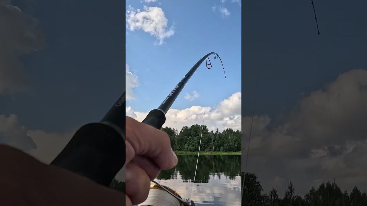 Щука 10 кг  Новый рекорд #fishing #рыбалка
