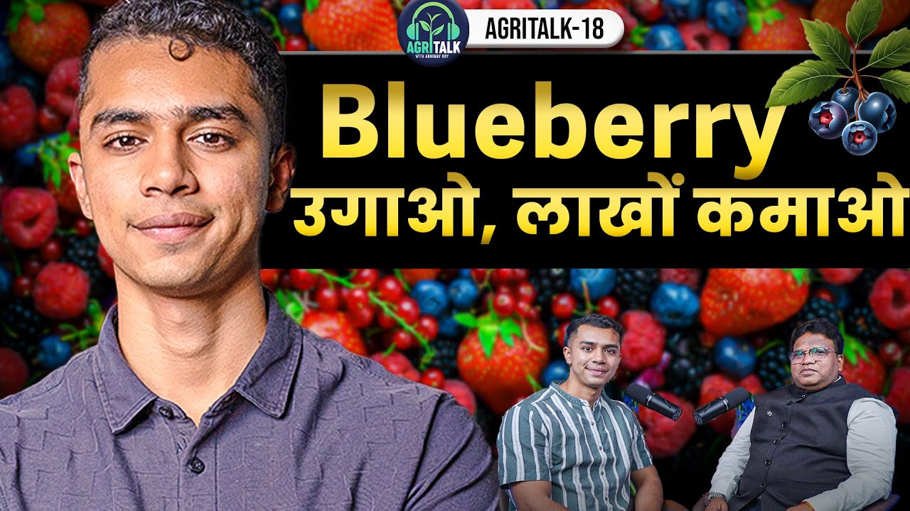 Berry की खेती कैसे करें | Profitable Farming From Small Land in India | AgriTalk ( Hindi Video)