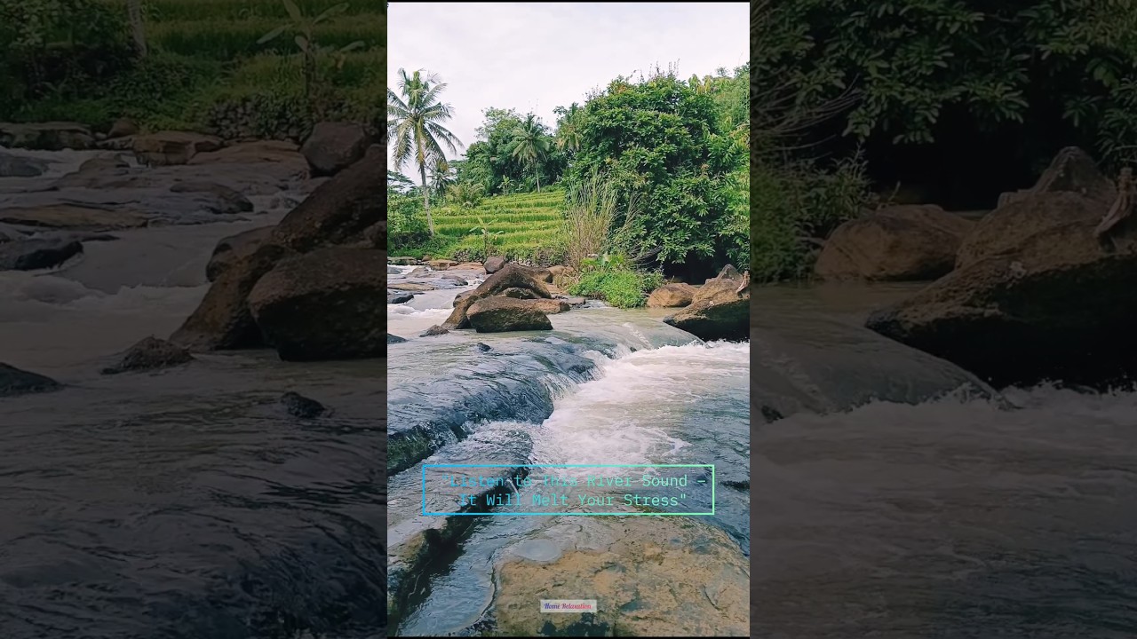 the calming sound of the river 
