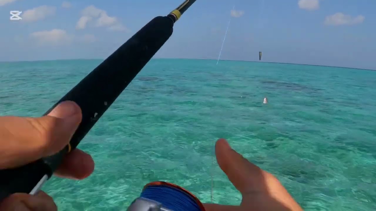 maldives has its unique way of aqutic lief #maldives #resort #fishing 