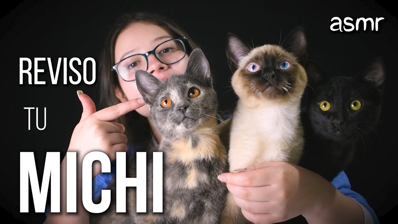 ASMR en ESPAÑOL | VETERINARIA 😸👩🏻‍⚕️ (RP) | Vivalen ASMR
