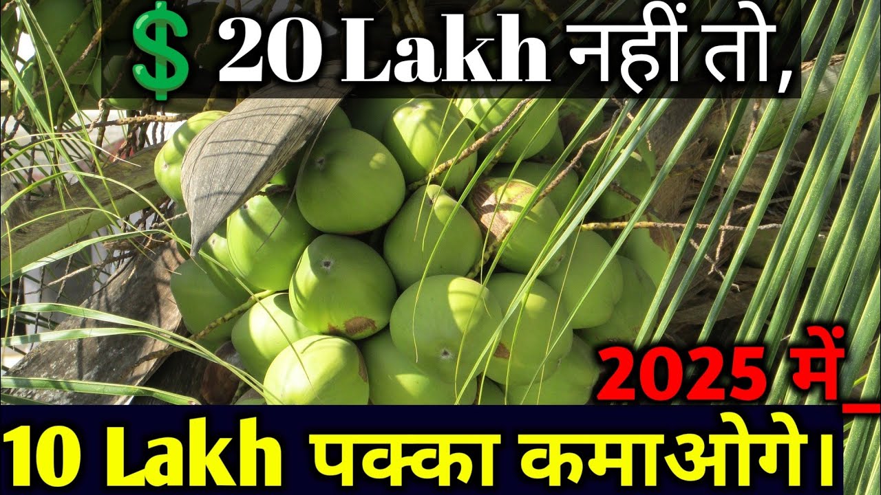 20 Lakh Earning 💲 By Andhra Pradesh Tender Coconut Business Ideas 💡In  2025 | Small Business Coconut
