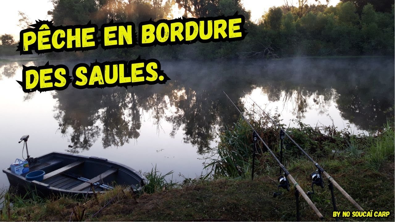 Pêche en bordure des saules.