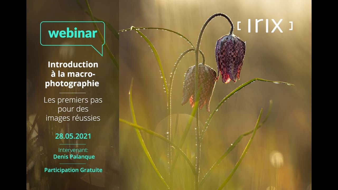Introduction à la macro photographie
