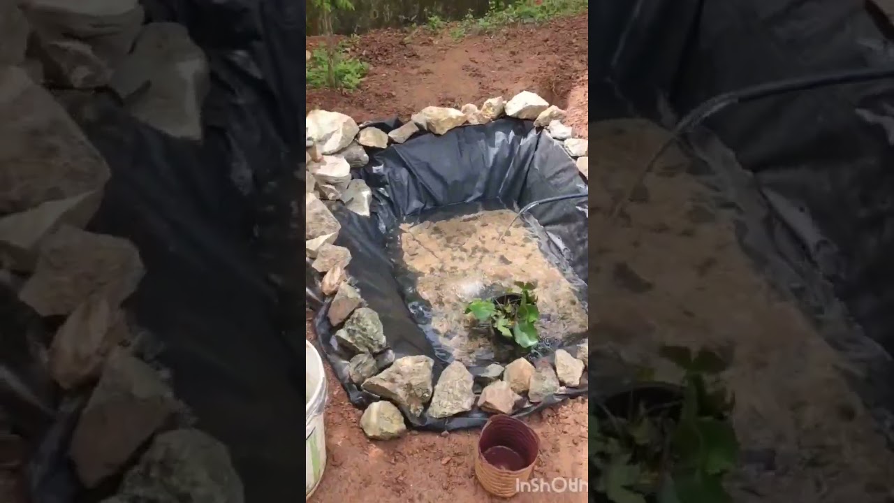 Low Budget Pond Making#shots #pond #fish #viral