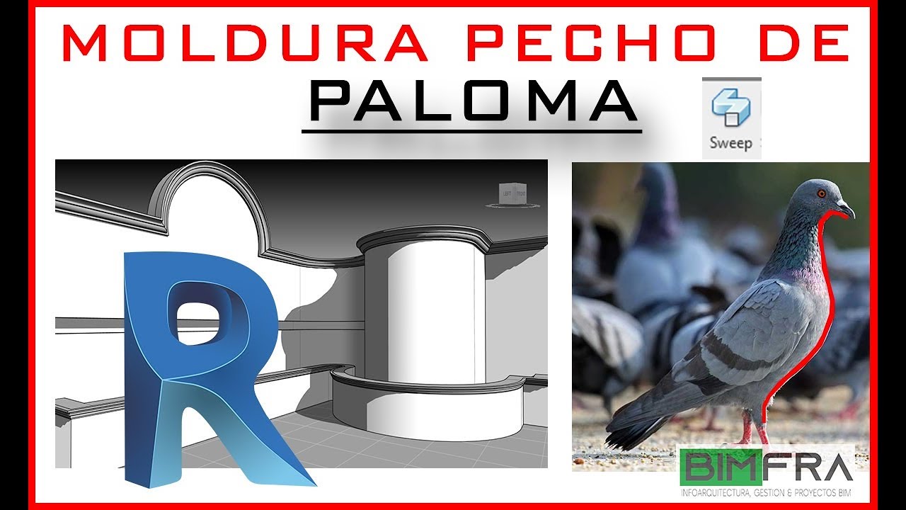 Moldura pecho de PALOMA en REVIT
