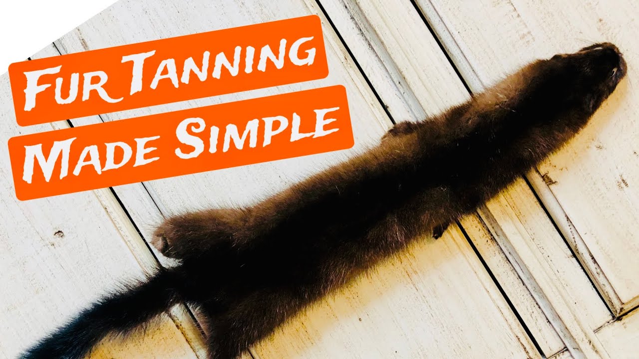 How To Tan A Hide  (Part 1)