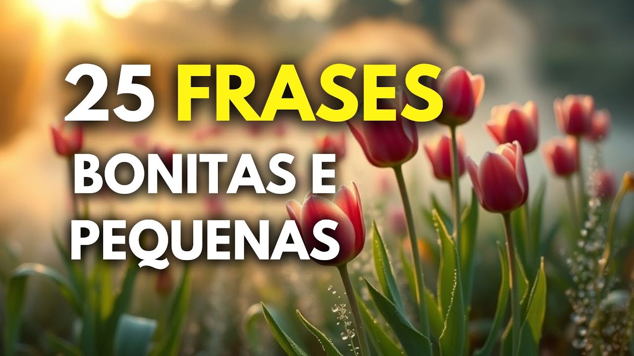 25 FRASES BONITAS E PEQUENAS