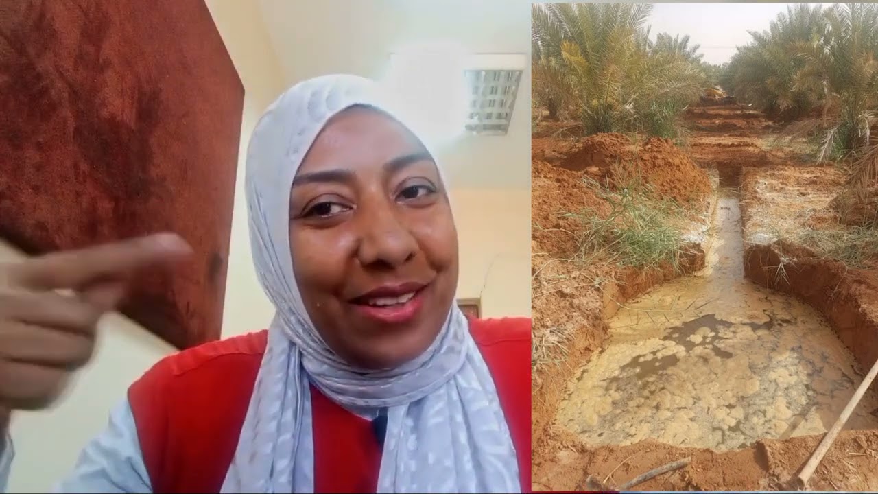 الملوحة في الاراضي الزراعية
