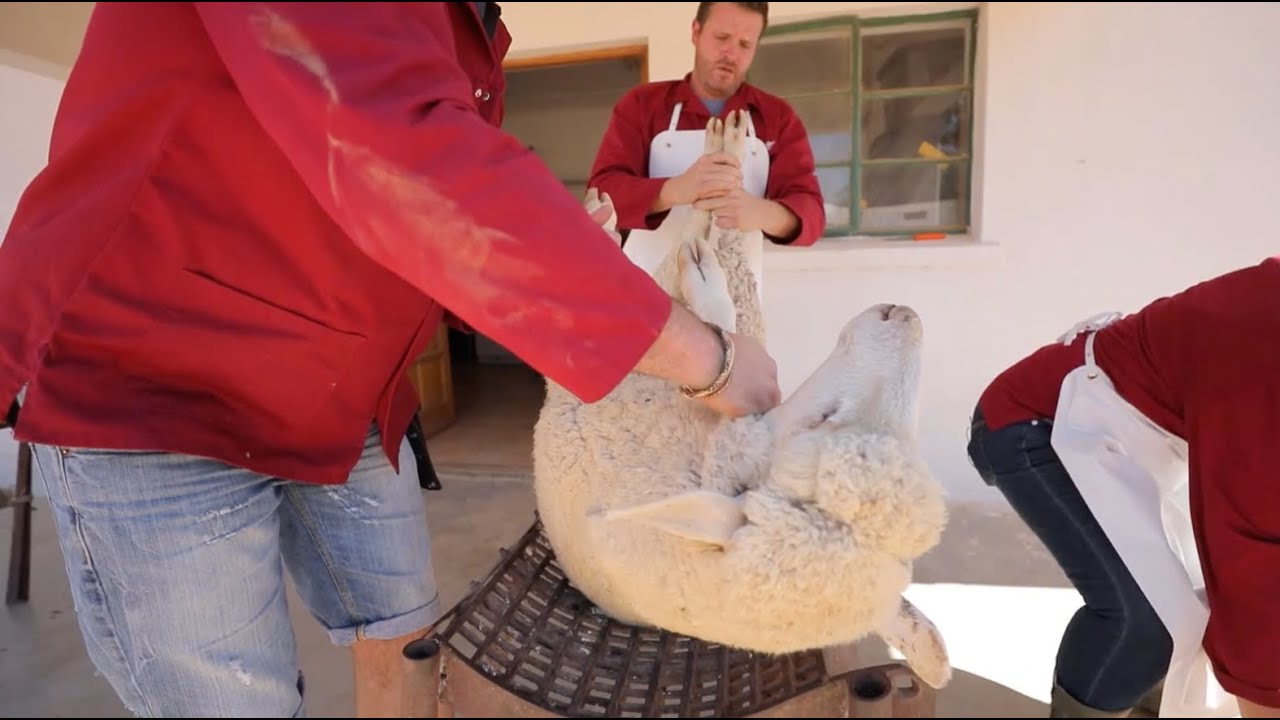 Slagmeester Episode 4 - 
