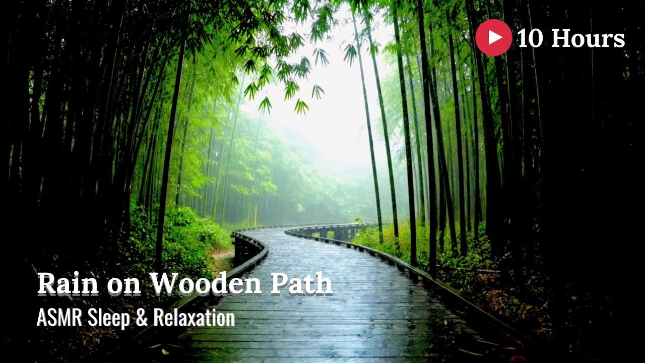 Rain on Wooden Path in Bamboo Forest ASMR | 10 Hours of Deep Sleep & Relaxation