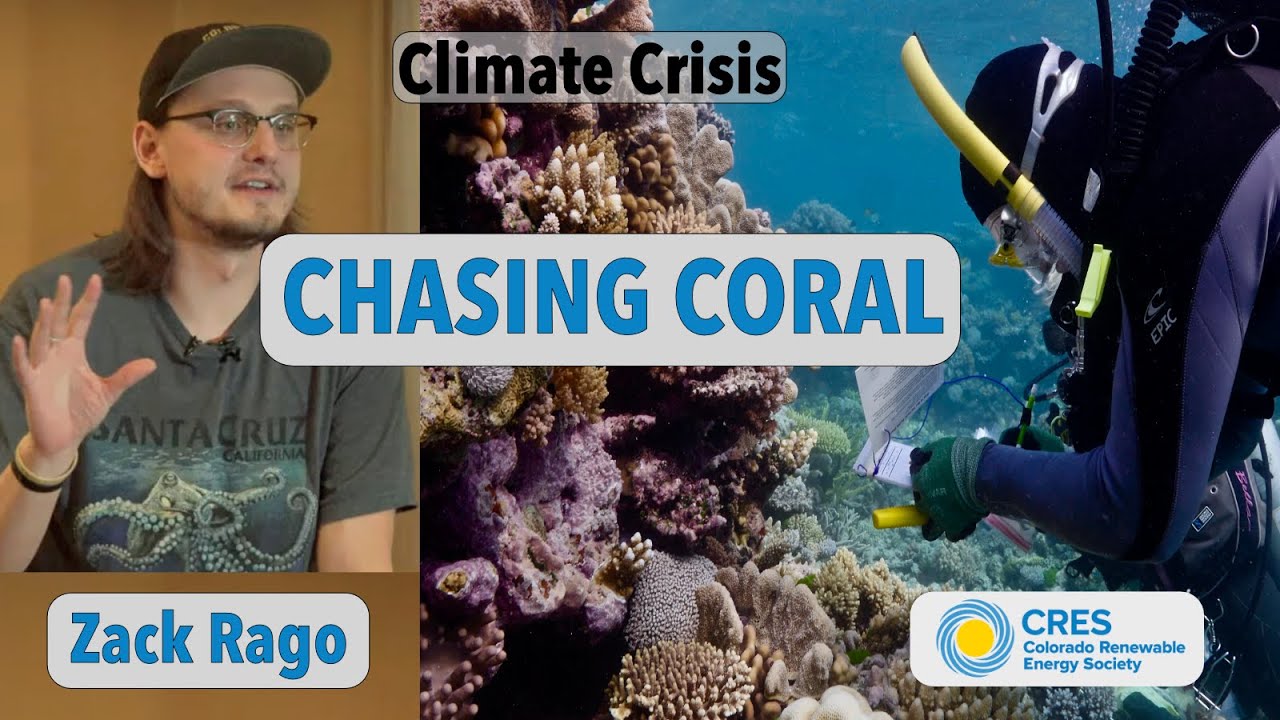 Chasing Coral - A Climate Crisis
