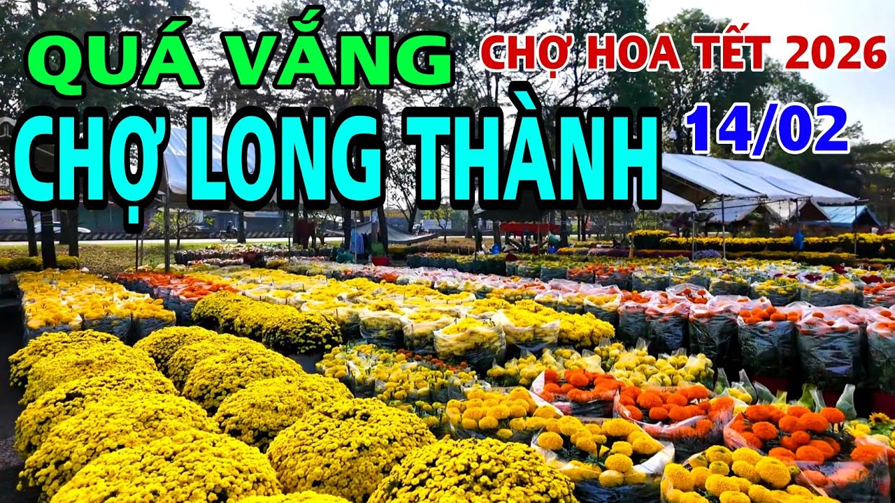 QUÁ VẮNG CHỢ HOA TẾT 2026 TẠI CHỢ LONG THÀNH TRONG NGÀY 27 TẾT. 