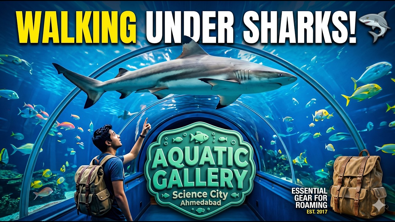 Aquatic Gallery Science City Ahmedabad | Science City Aquarium | RPcam