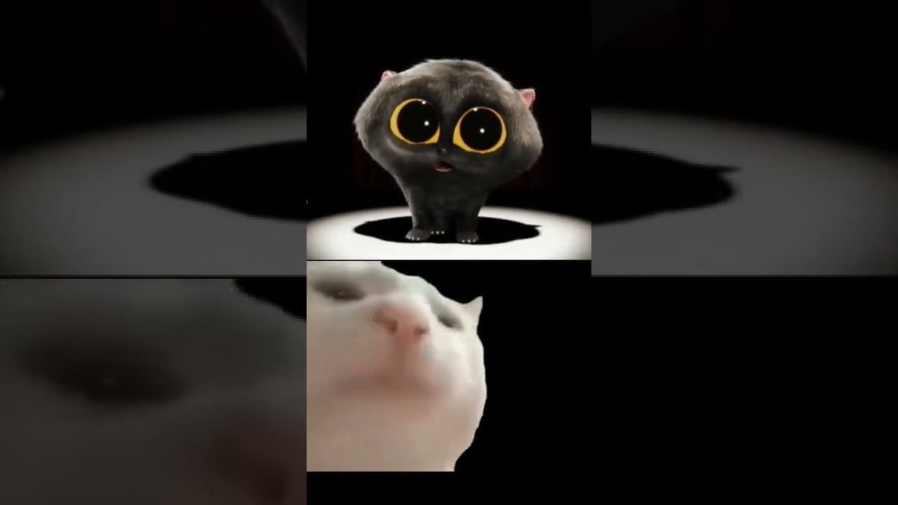 gato cantor dança cantando sua música en HD E 4K@ScatmanJohnOfficial