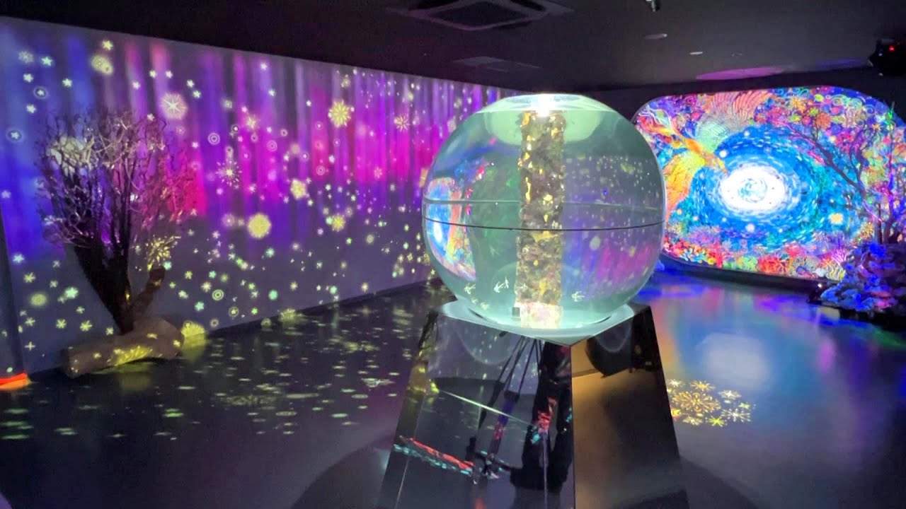 広島もとまち水族館、アートで幻想的な街なか水族館が基町クレドにオープン！