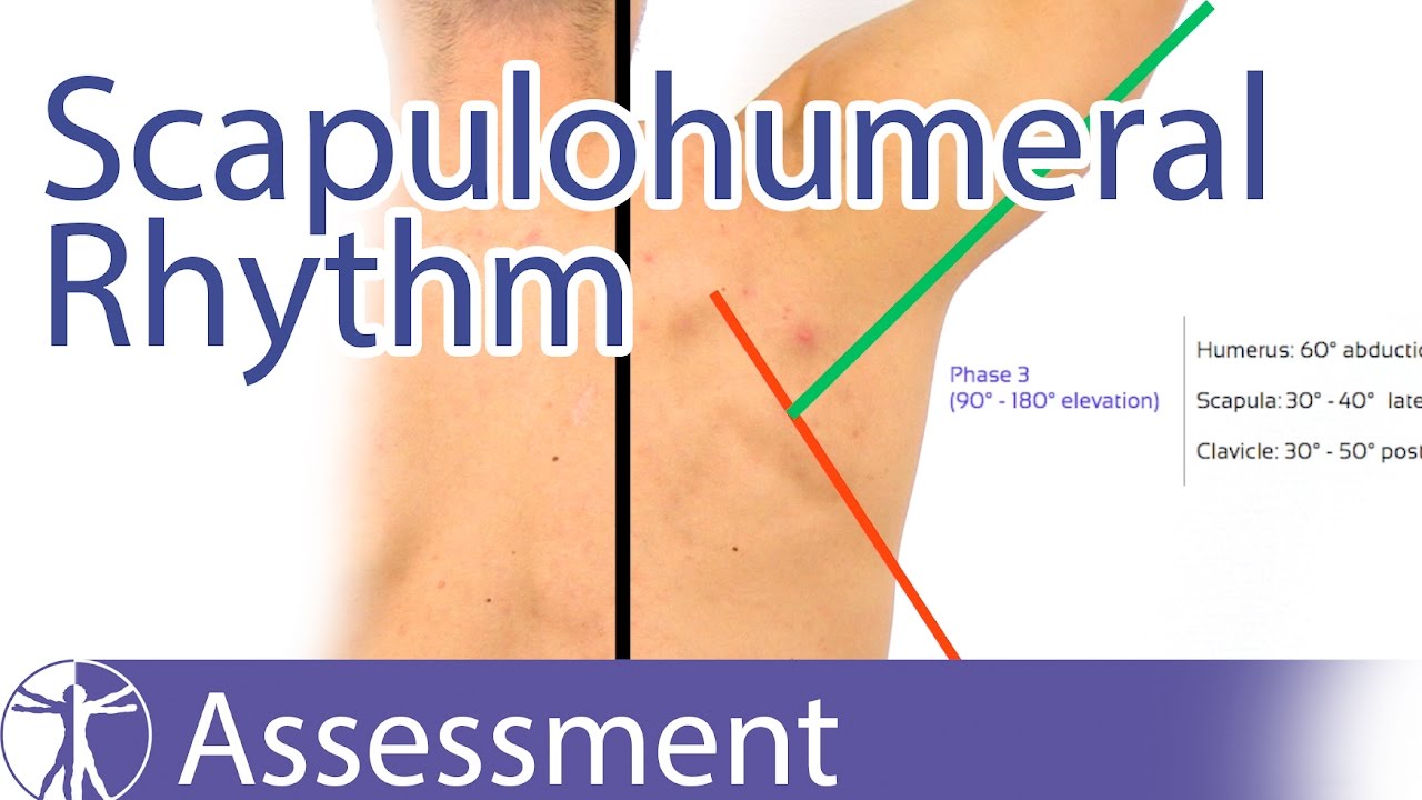 Scapulohumeral Rhythm