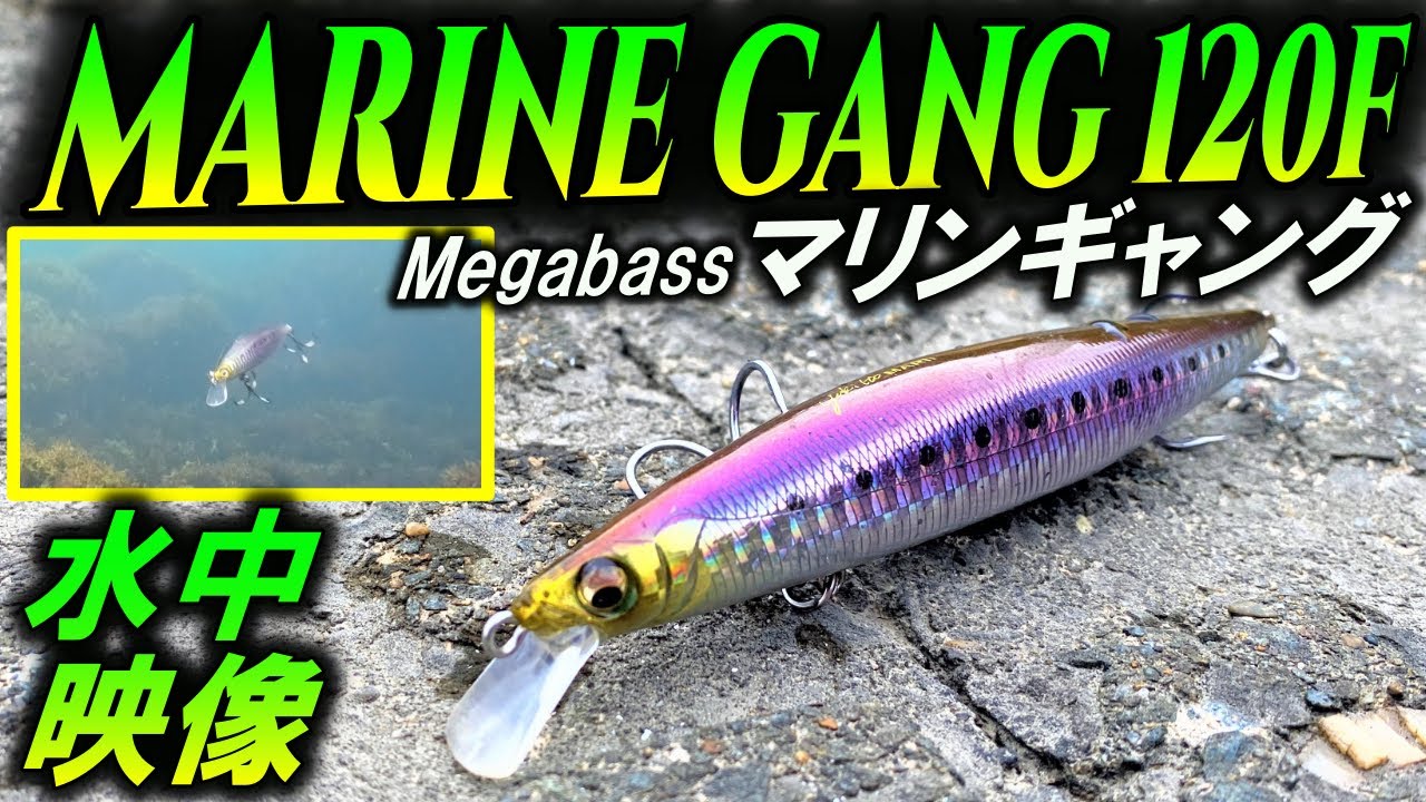水中映像【マリンギャング120F】メガバス飛ぶシーバスミノーで有名な人気ルアー！Megabass MARINEGANG120F