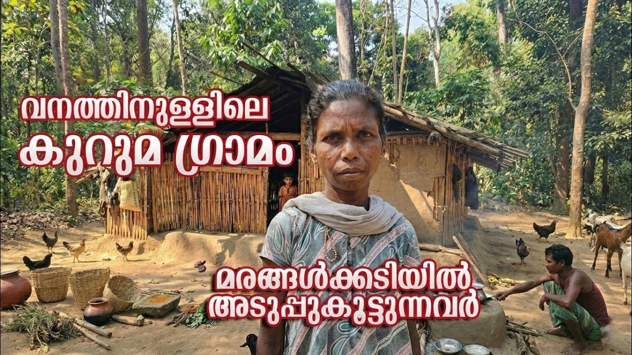 മുത്തങ്ങയിലെ കുറുമ ഗോത്ര ജീവിതം : The Life of the Kuruma Tribe of Muthanga