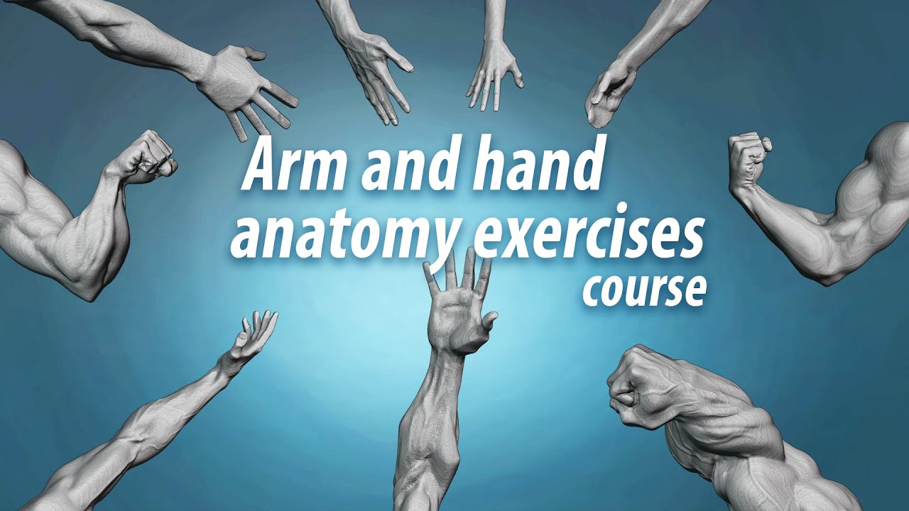 Arm and hand anatomy exercises course promo
